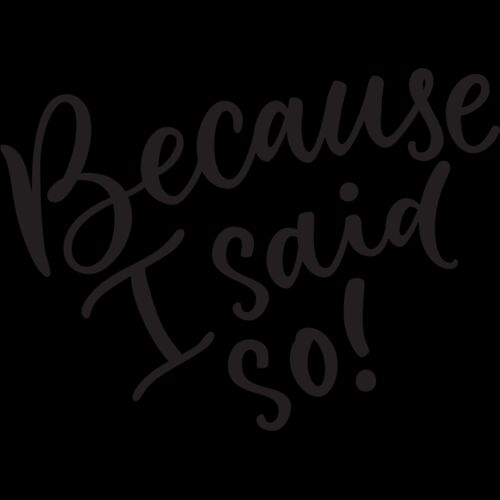 Because I Said So Thumbnail